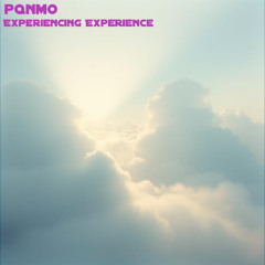 Experiencing Experience