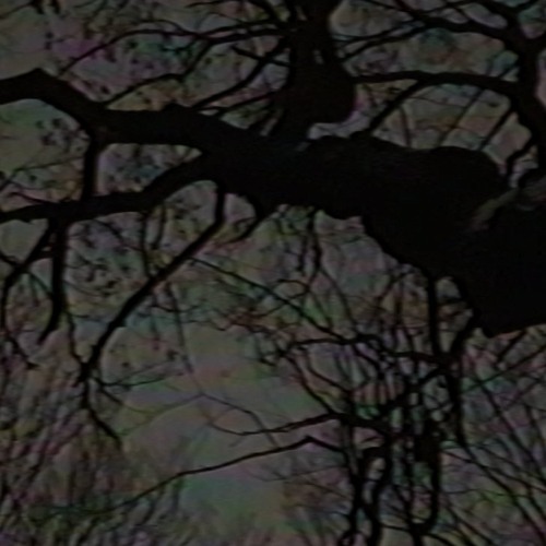 the blood tree (mxtthxw x babieyummo)