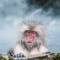 Death To All Fun Times "A Boy Joy's Ode To Fall And Ultimate Acceptance Of Winter"