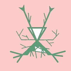 MIPAX - A journey in a space-time gap