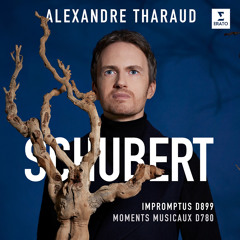 Moments musicaux, Op. 94, D. 780: No. 3 in F Minor