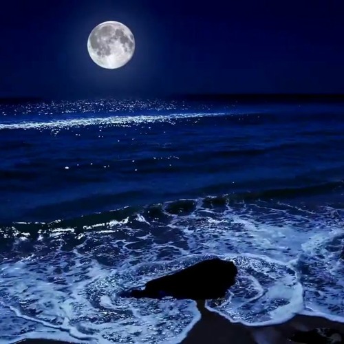 The Moon Light Sonata Ocean View