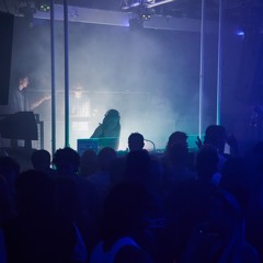 Reptile 029 (27.4) - Charlotte Rooney