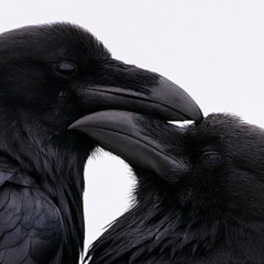 Jex - (MashUp)_ MERKABA-Universe Of Mind & ANNA-Forgotten