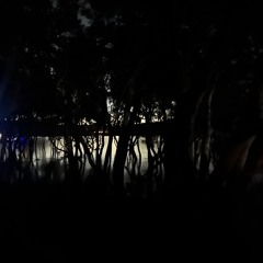 The Bar Point Project