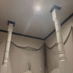 my feathers are frail