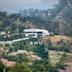 BWU