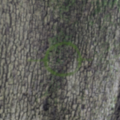 Out Of Focus 006 - deep-sky objects