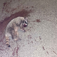 Spiritual Transmittance