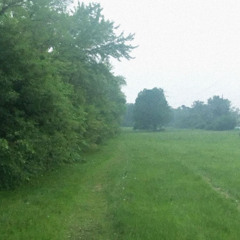 raining