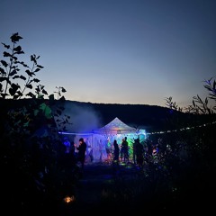 Wald Hypnose- Jena 20.07.24