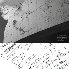 unprepared chordophone microtones