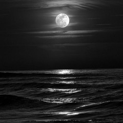 black sea(short snnipet)