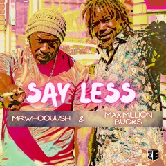 Say Less - Mr.Whoouush & Maximillion Bucks