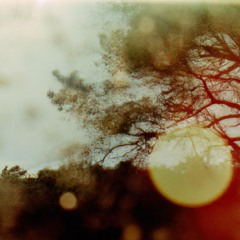 memory fragments