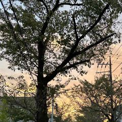 夕暮れの川沿いに