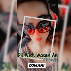 Dil Wich Wasna ae _Tripping_DJMani