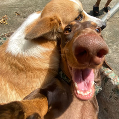 NST 2K25 • ẢI ĐÍA GÌ CHƯA NGƯỜI ĐẸP ? 🫓🍚📲 • BIN MAX