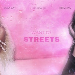 WANT TO x STREETS - Doja Cat, Dua Lipa (Mashup)