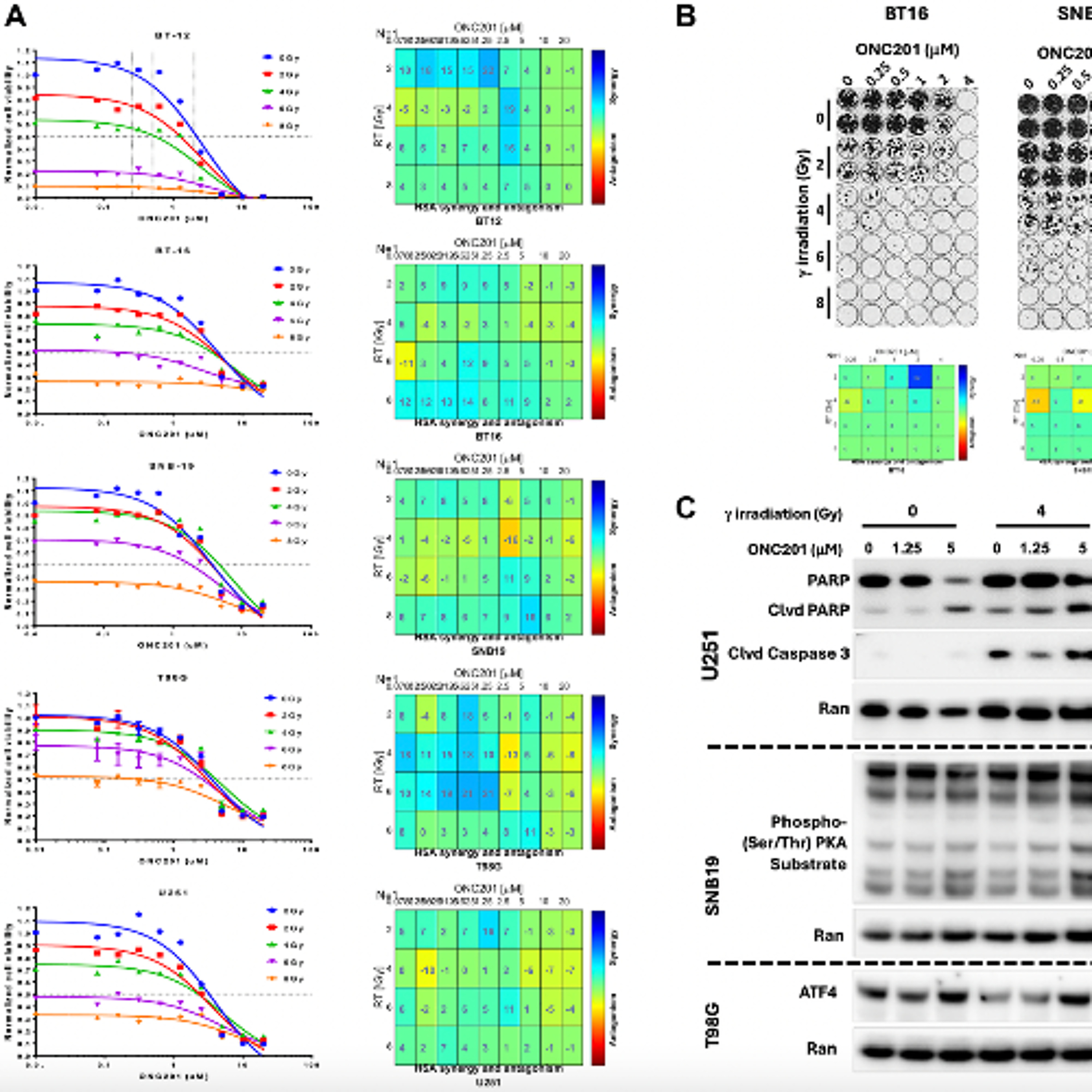 Oncotarget