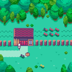 Kanto Town