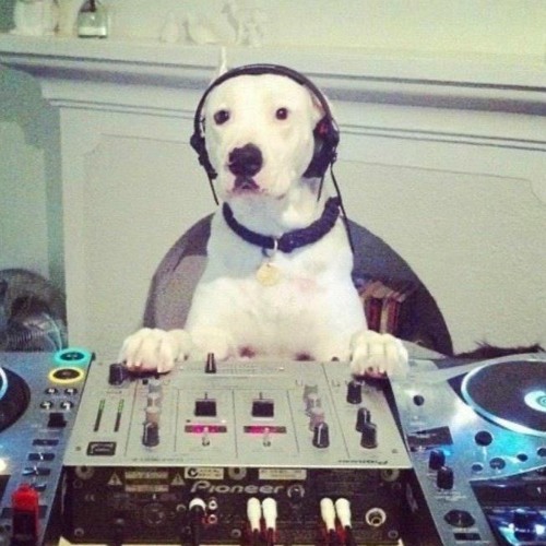 Groovy tunes #02