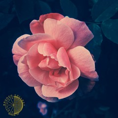 CallMeDee Ft. LazyLofi Boy - I Need Sleep