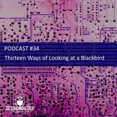SESSIONDIGGER PODCAST #34 - Thirteen Ways of Looking at a Blackbird