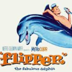 Flipper's Revenge!
