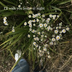 I'll walk you home @ night