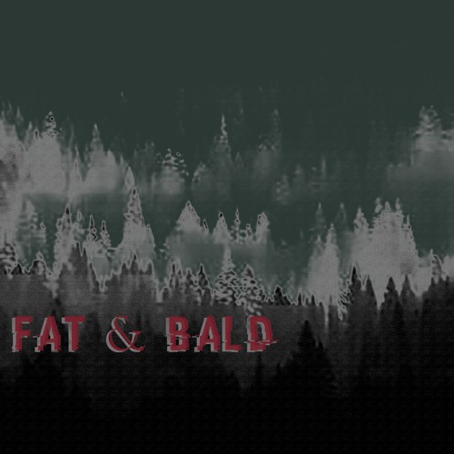 Fat & Bald - XYZ Problems
