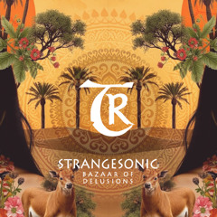 𝐏𝐑𝐄𝐌𝐈𝐄𝐑𝐄: STRANGESONIC - Whispers in the Dust [Tibetania Records]