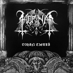 Raiskattu Saastaisessa Valossa