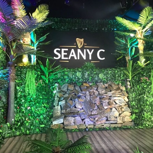 THE LOST DNB Mix By SEANY-C