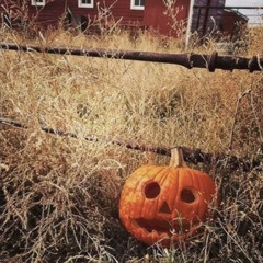 no2 xnk [prod. greaf]