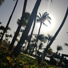 D.D.O.T.A. MAFsensor