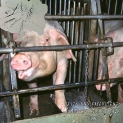 HARSH NOISEs within the WALLs of a factory farm