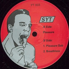 SYT - Pleasure Dub