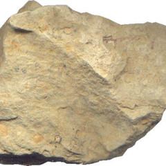 MINHA PIKA TA *MEIO* DURA (Diss pro Petrus)