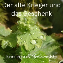 Der alte Krieger und das Geschenk
