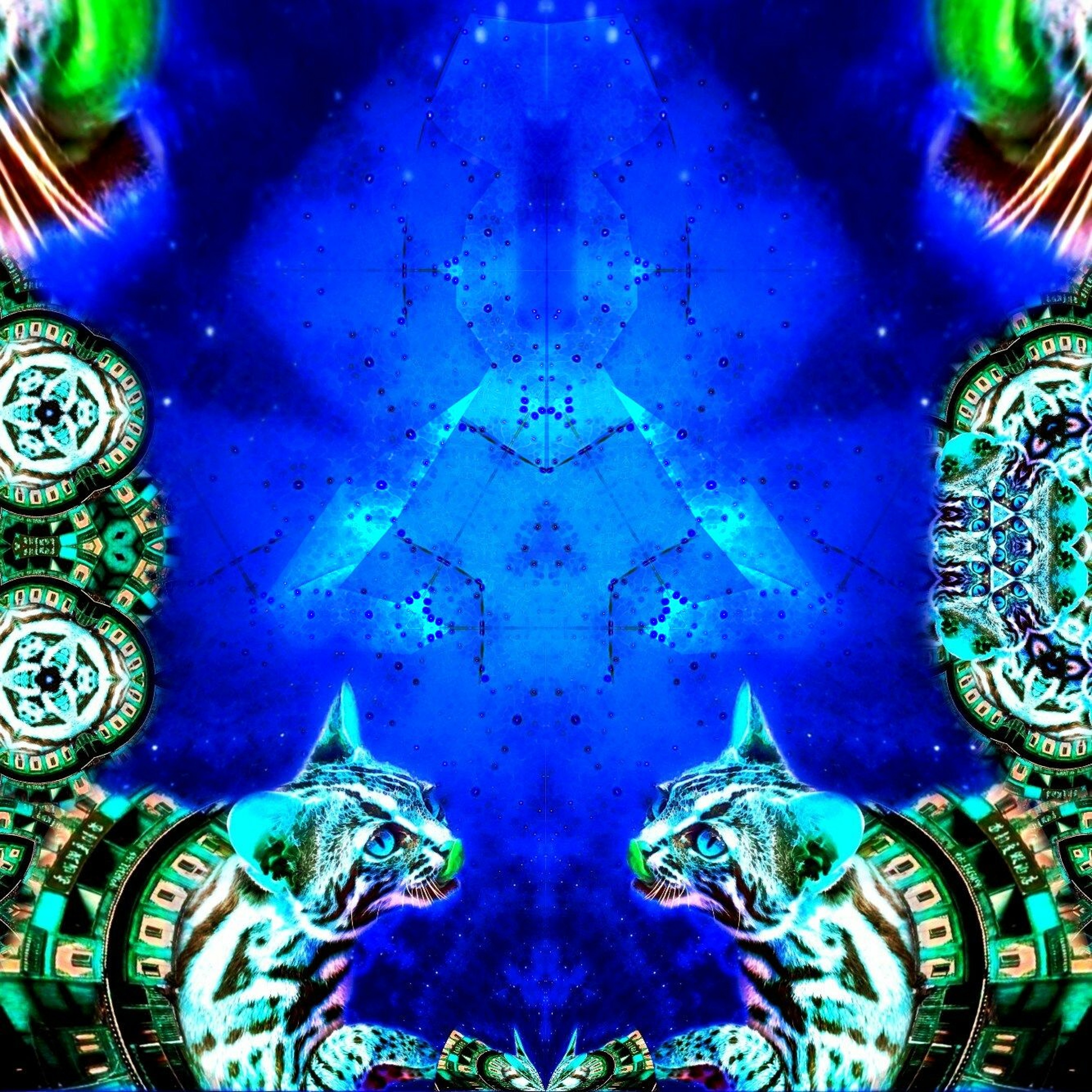 The City On Top Of The Kitty - Mystique Wind | EnigmaCurry episode artwork