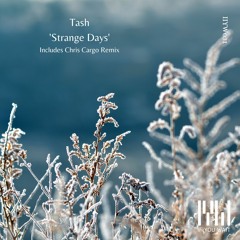 Tash - Strange Days (Chris Cargo Remix) - If You Wait