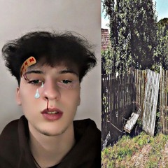 tippy toes (prod. david)
