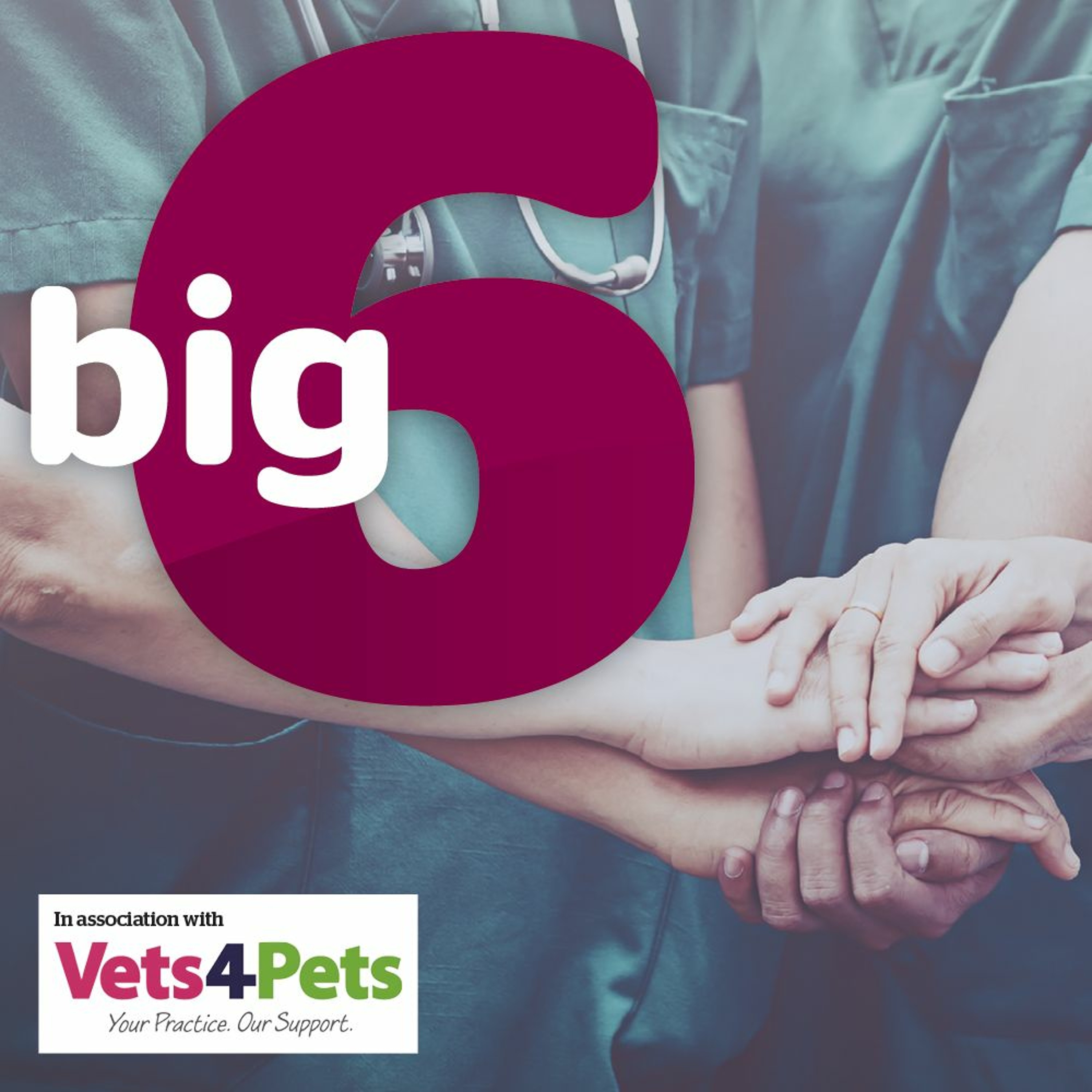 Vet Times Podcast