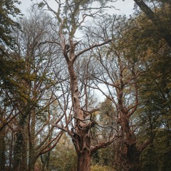 Whats it matter-Backstabber