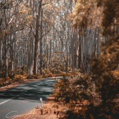 Shape Of You ~ Ed Sheeran (Piano Cover by Cian)