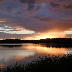 Minä valitsen sinut