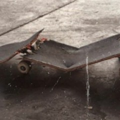 i eat boys - chloe moriondo // cover