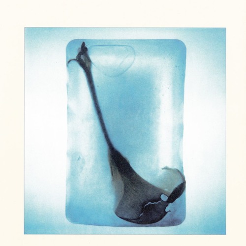 Nachtblumen Premiere: Noah Lyas - Yashim [Profundo Collective]