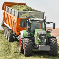 Dikke ploate 2